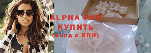 ешки Богданович