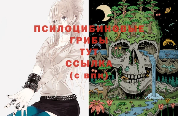 ешки Богданович