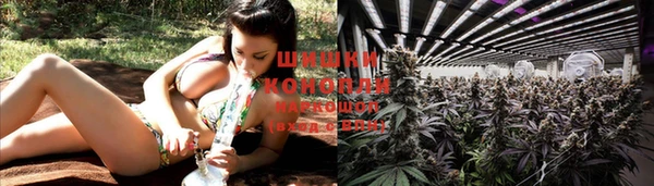 ешки Богданович