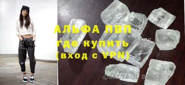 ешки Богданович